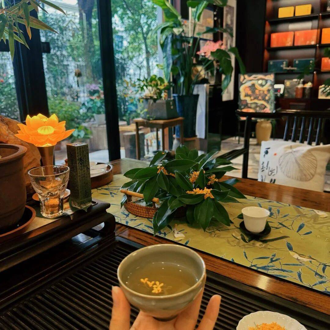 上海浦东新区品茶_上海浦东新区品茶会所地址 上海浦东新区品茶_上海浦东新区品茶会所地址