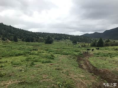 包含深圳喝茶你懂南山_广州犬马之家电脑版的词条