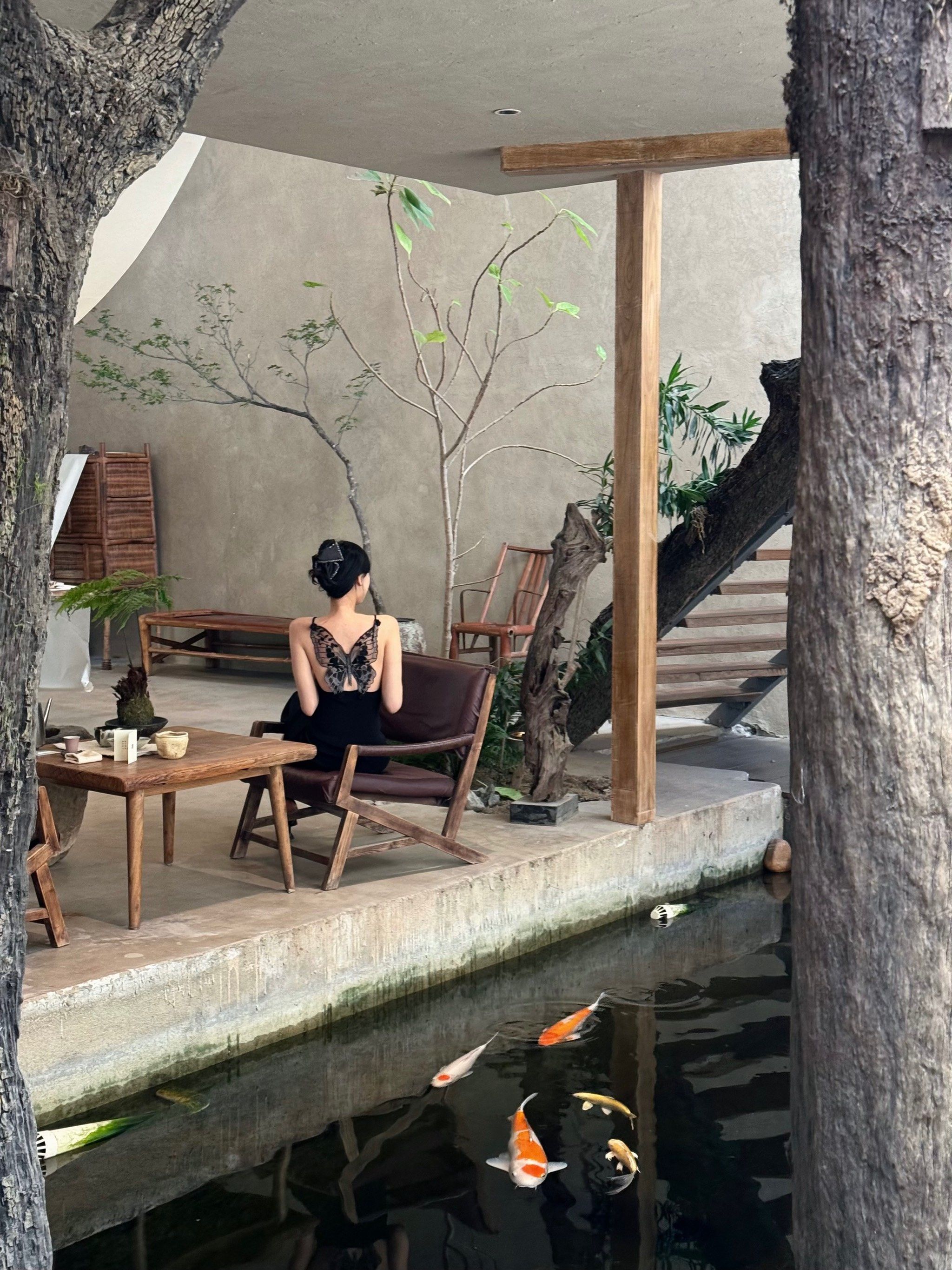 深圳喝茶品茶_深圳喝茶品茶的地方