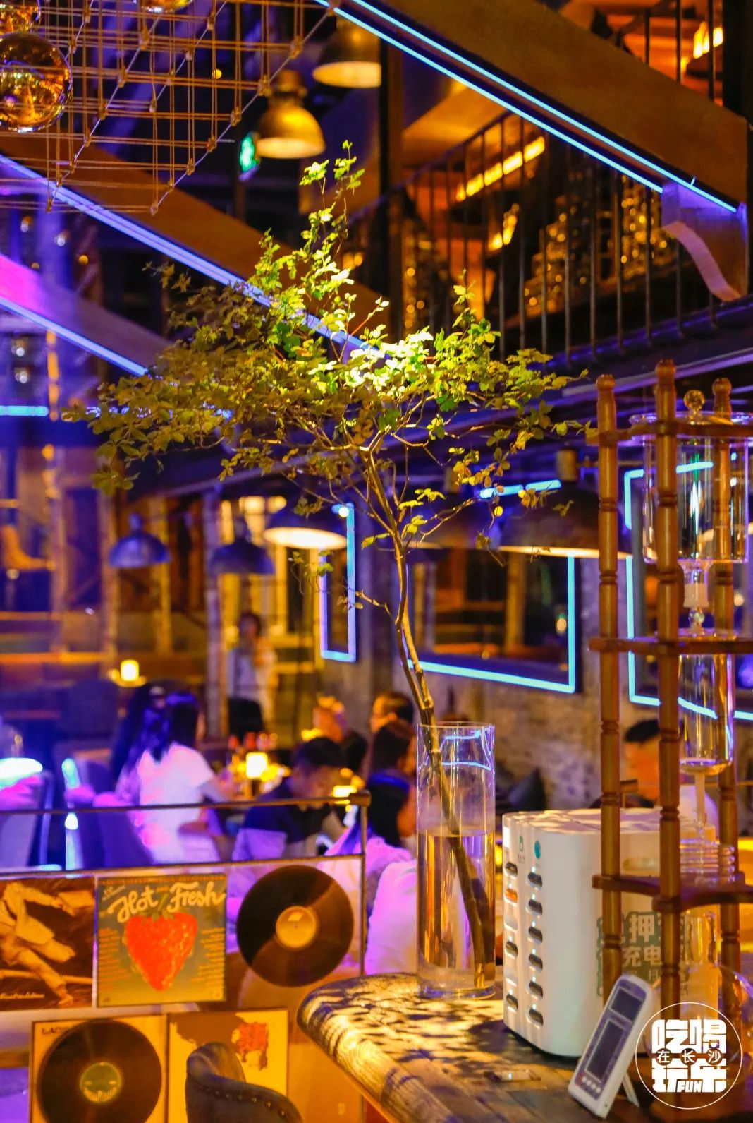 广州犬马之家2023_广州犬马之家白云区 – 广州品茶上课网站