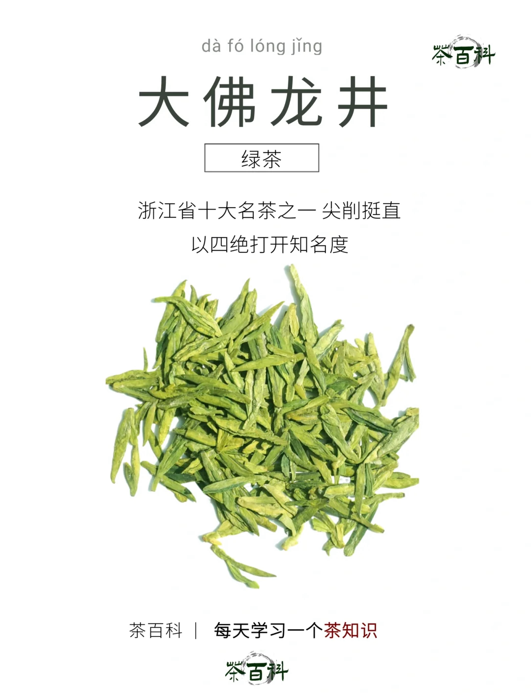 广佛一条龙高端茶_广佛一条龙是真的假的