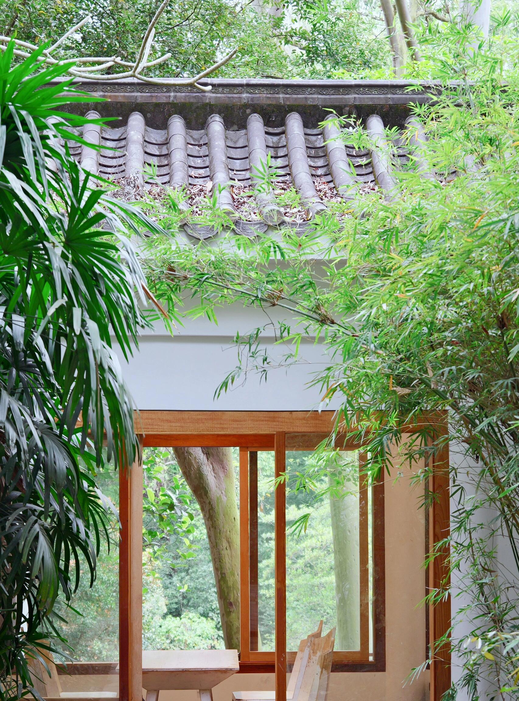 深圳福田喝茶的地方_深圳福田喝茶地方推荐