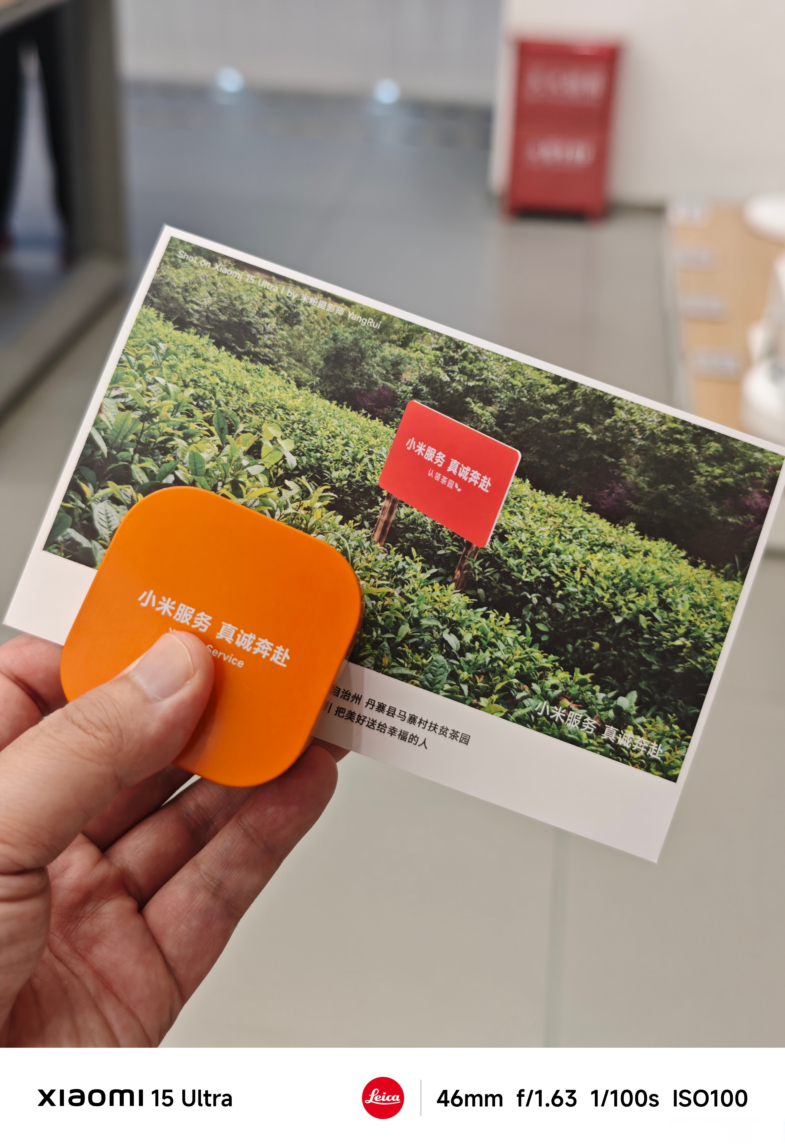 茶馆儿二维码图片_茶馆儿免费下载二维码