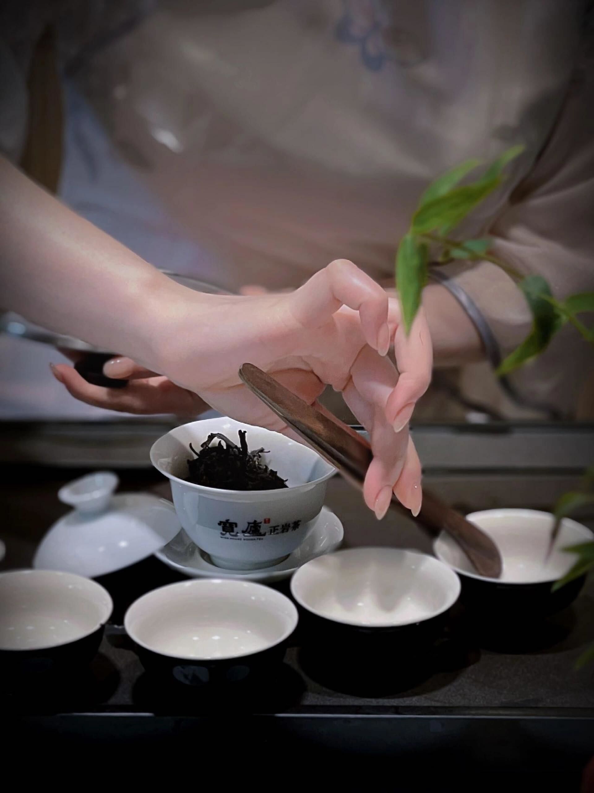 深圳上课品茶_杭州品茶工作室