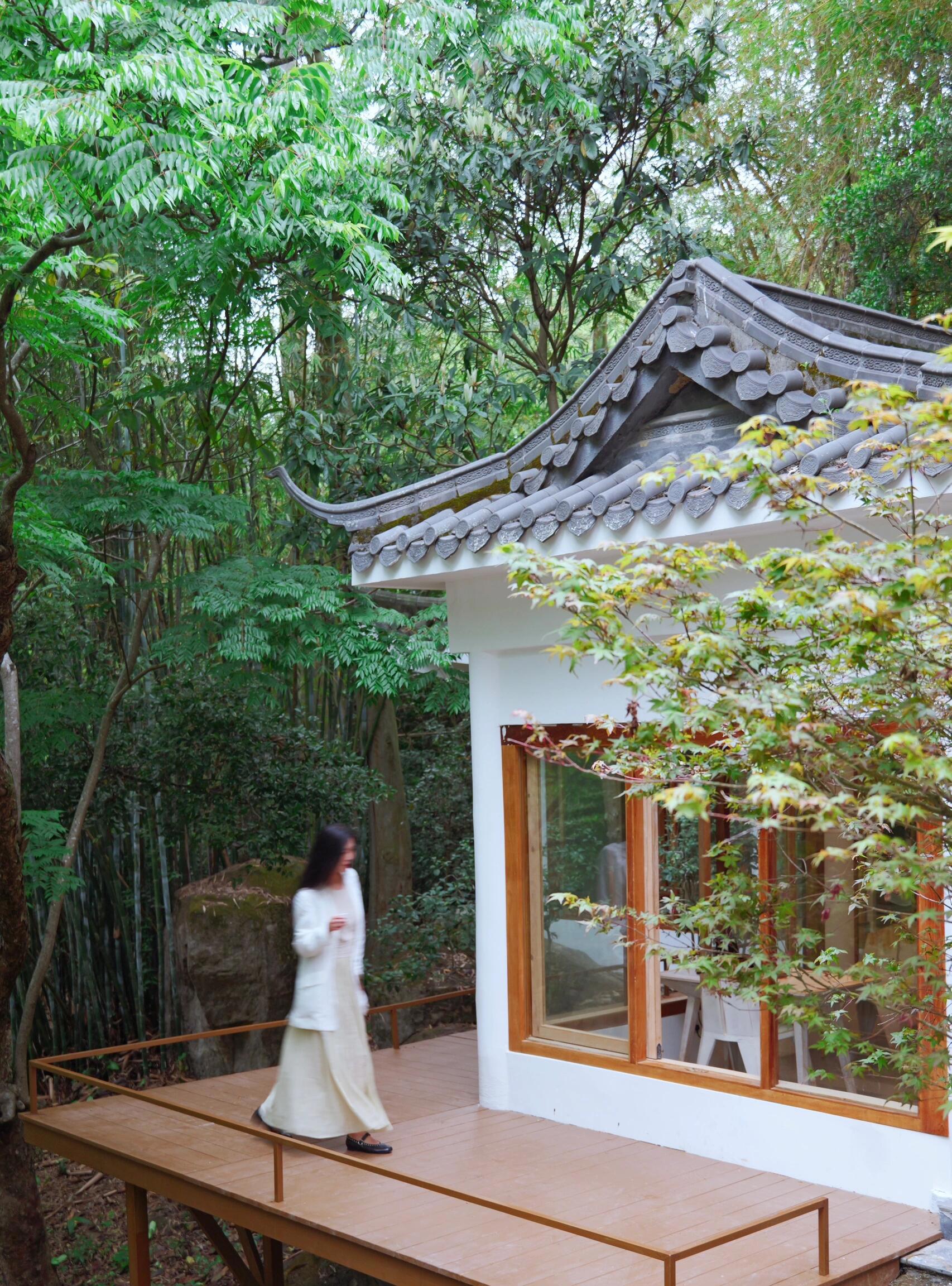 深圳喝茶的地方推荐_深圳那里喝茶好吃好环境一 深圳喝茶的地方推荐_深圳那里喝茶好吃好环境一