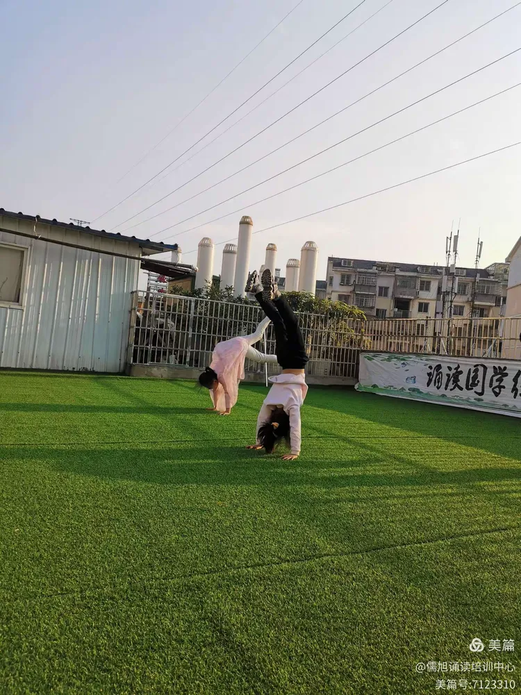 广州犬马之家2021_深圳喝茶全套群的简单介绍