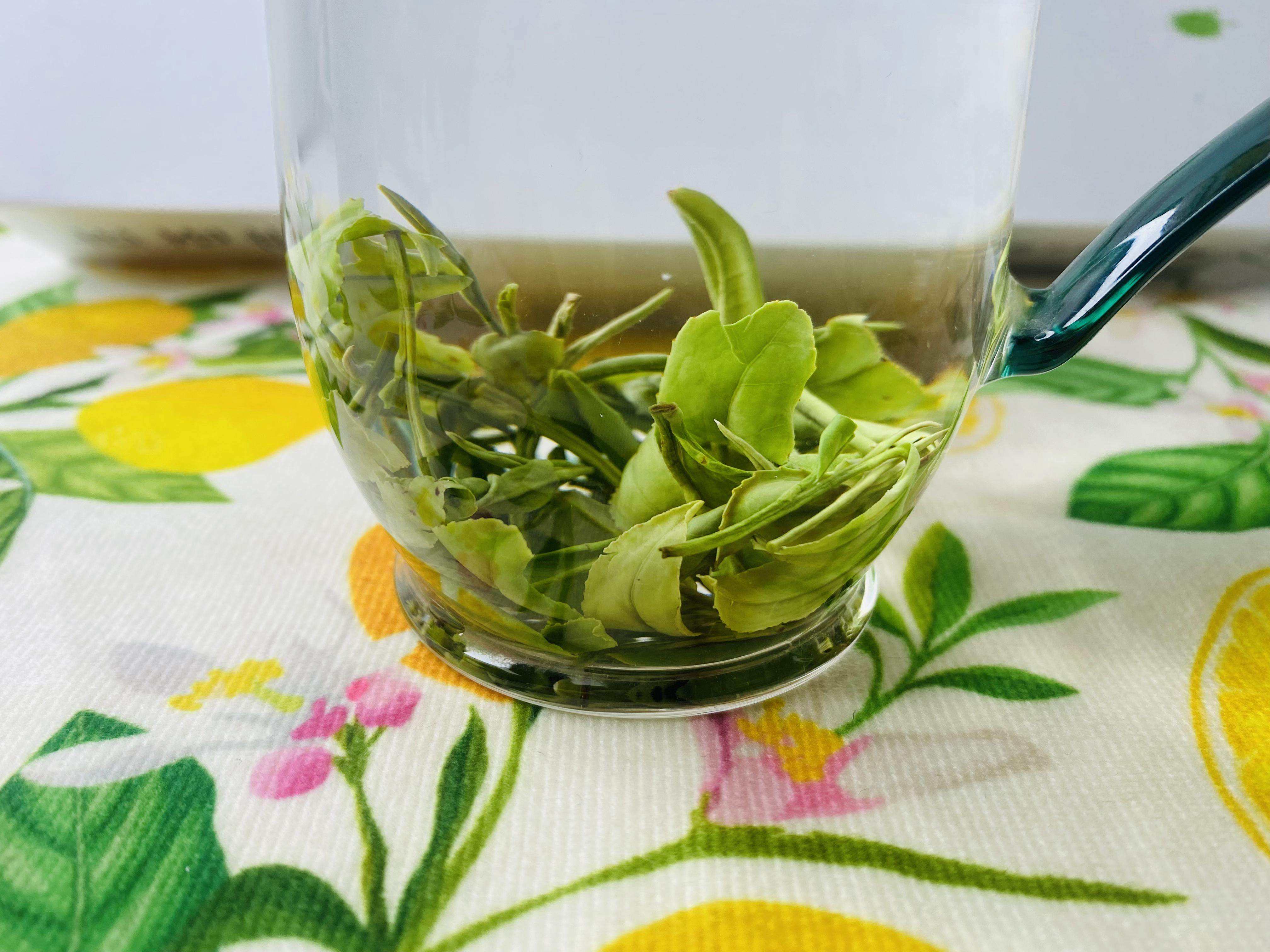 广州白云区新茶最新_广州市白云区茶叶市场