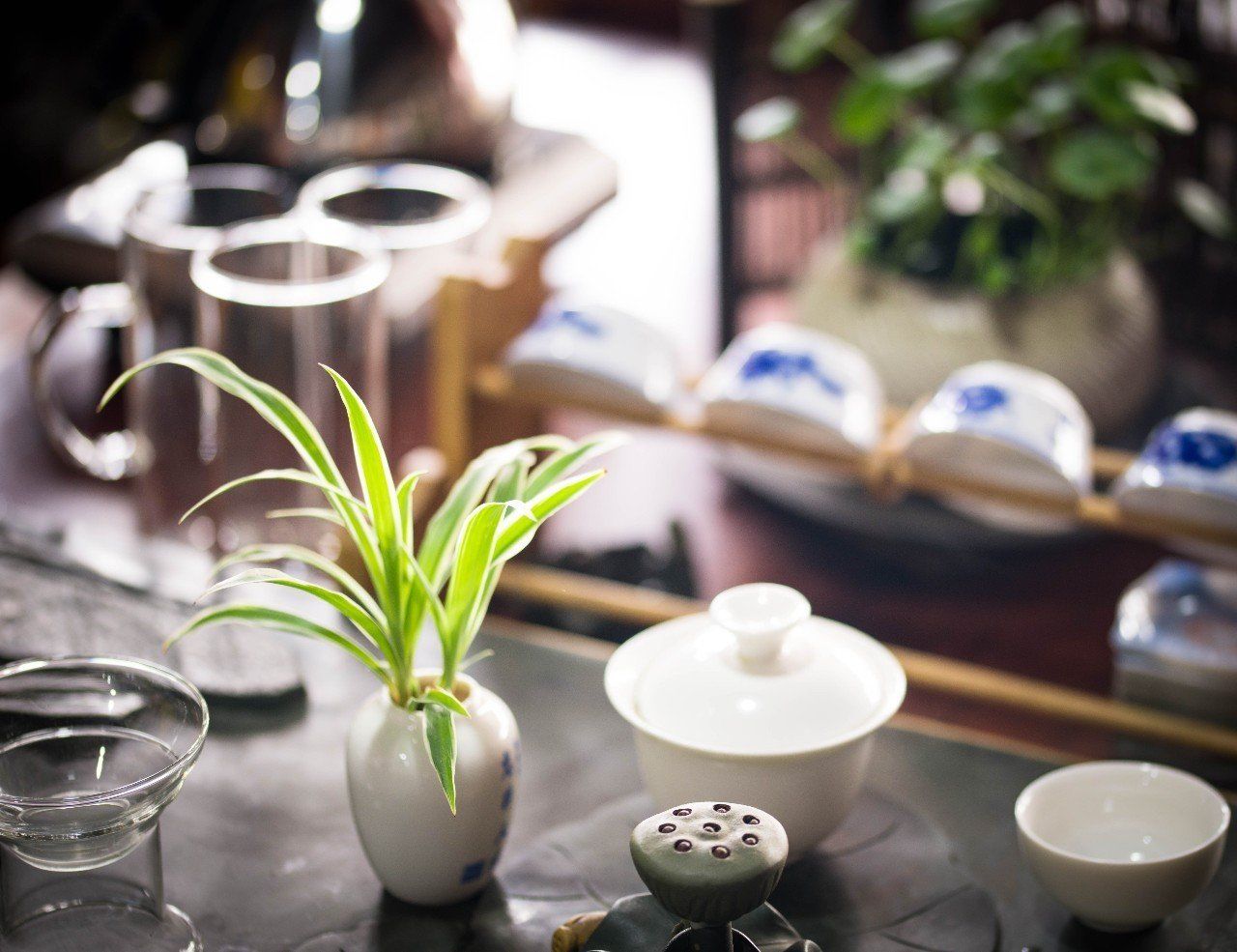 广州品茶群天河_广州2021品茶资源