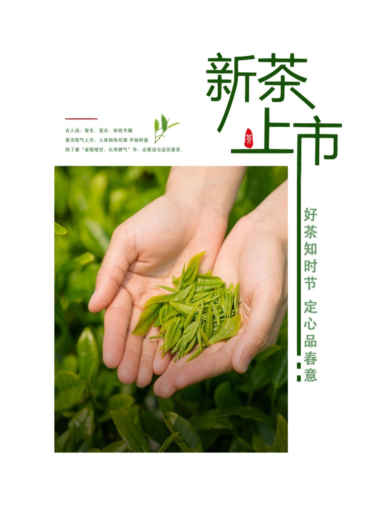 关于东莞长安新茶嫩茶微信号的信息