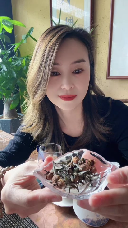 关于犬马之家_佛山喝茶预约的信息