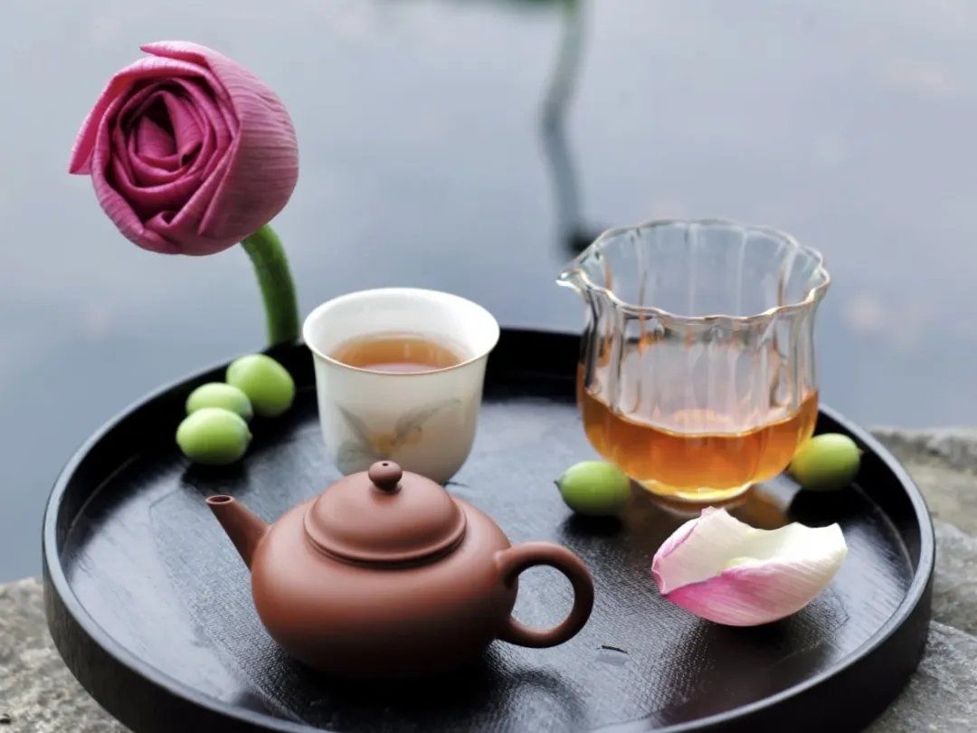 关于犬马之家_佛山喝茶预约的信息