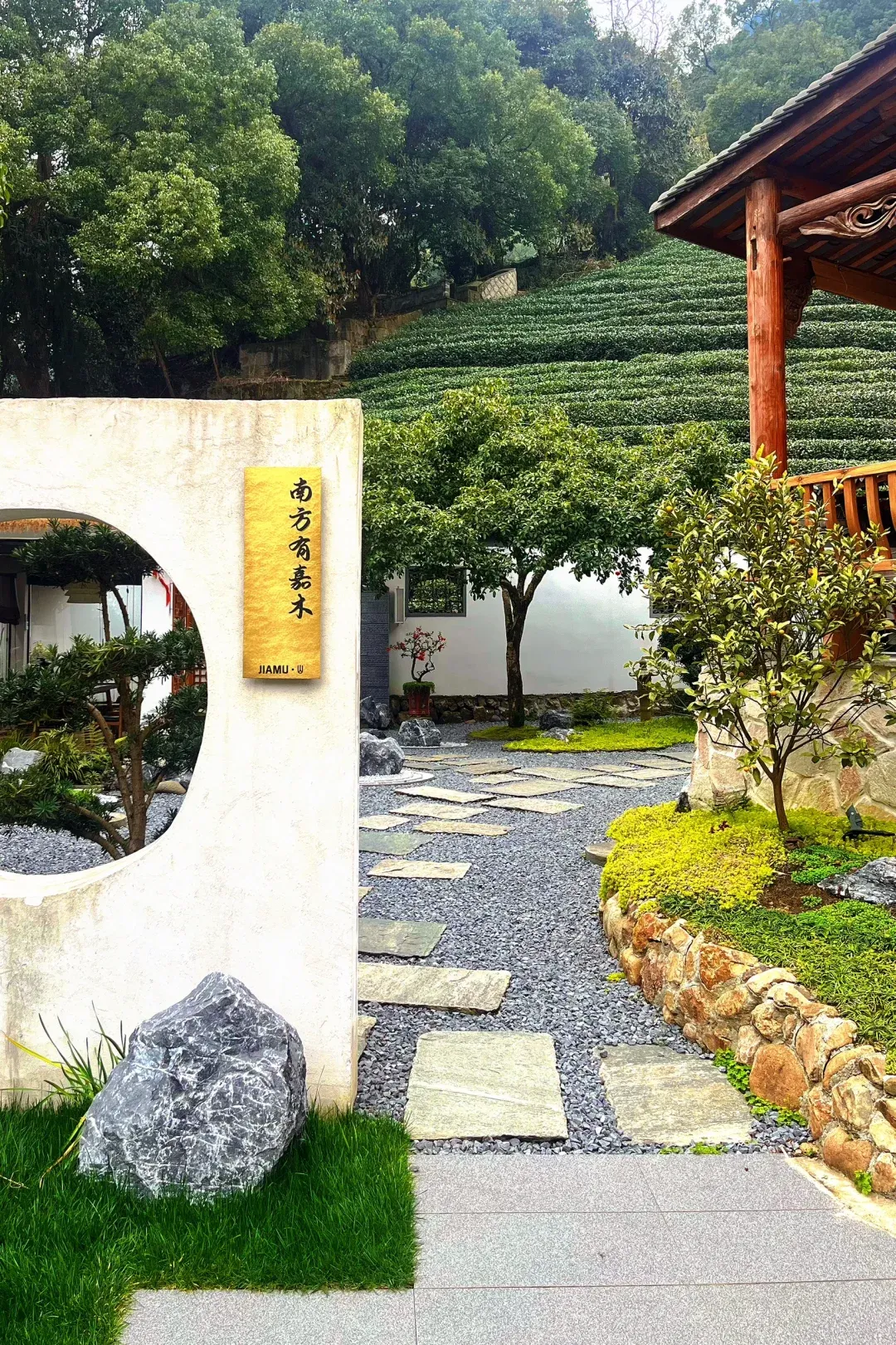 南山喝茶比较好的地方_南山喝茶的地方你懂2020