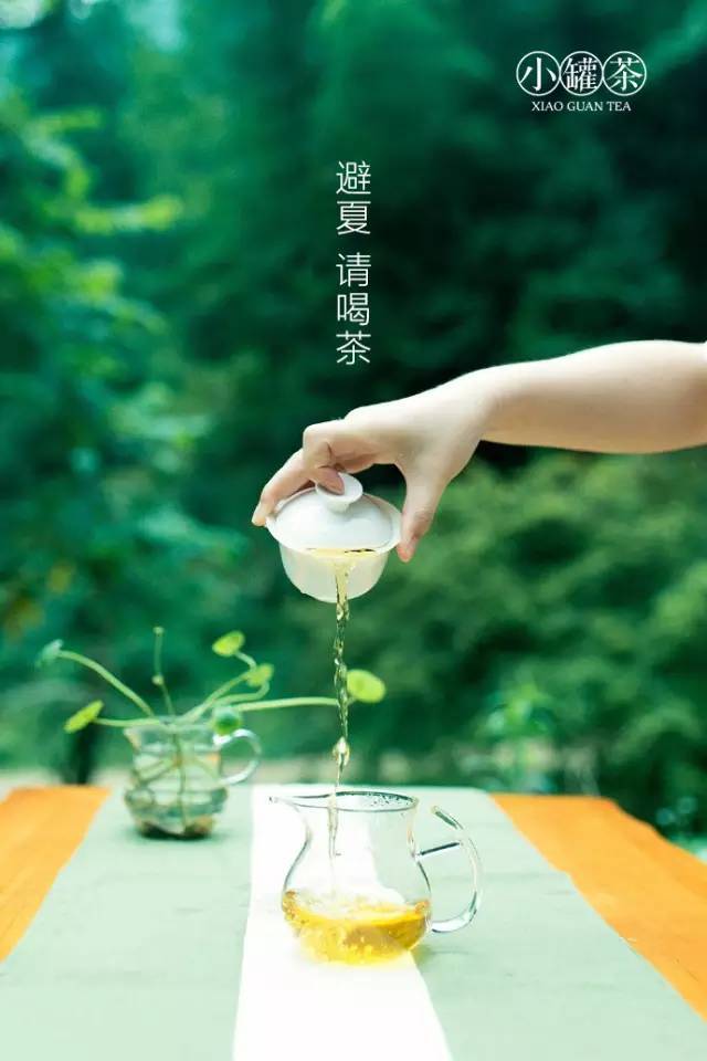 深圳福田品茶微信预约_深圳福田品茶微信预约电话 深圳福田品茶微信预约_深圳福田品茶微信预约电话